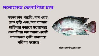 মনোসেক্স তেলাপিয়া চাষ