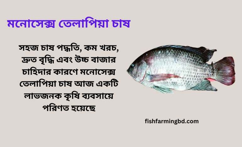 মনোসেক্স তেলাপিয়া চাষ