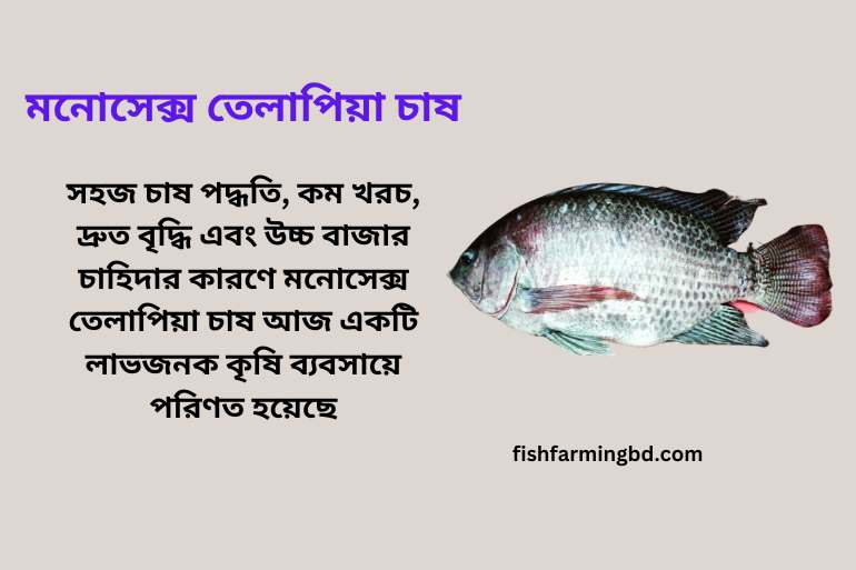মনোসেক্স তেলাপিয়া চাষ