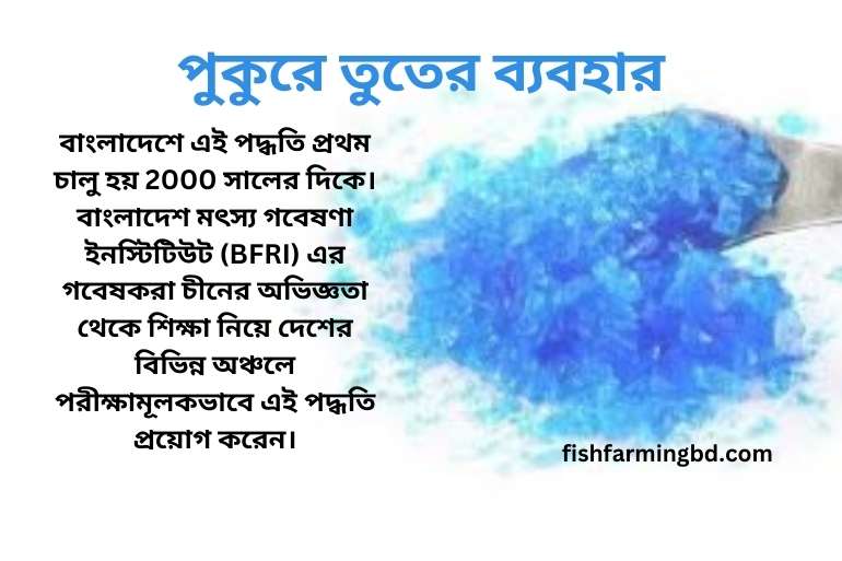 পুকুরে তুতের ব্যবহার