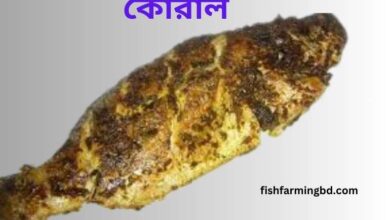 কোরাল মাছের পুষ্টিগুণ