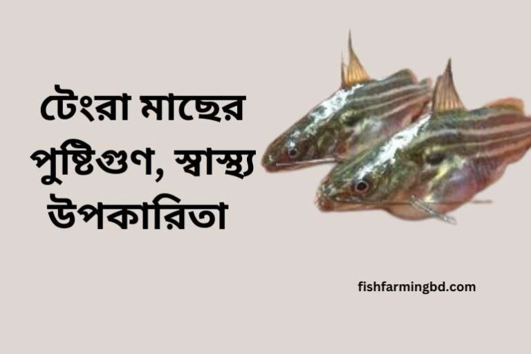 টেংরা মাছের উপকারিতা