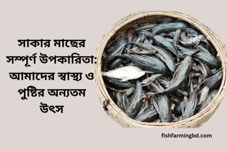 সাকার মাছের উপকারিতা