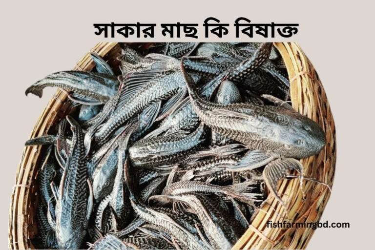 সাকার মাছ কি বিষাক্ত