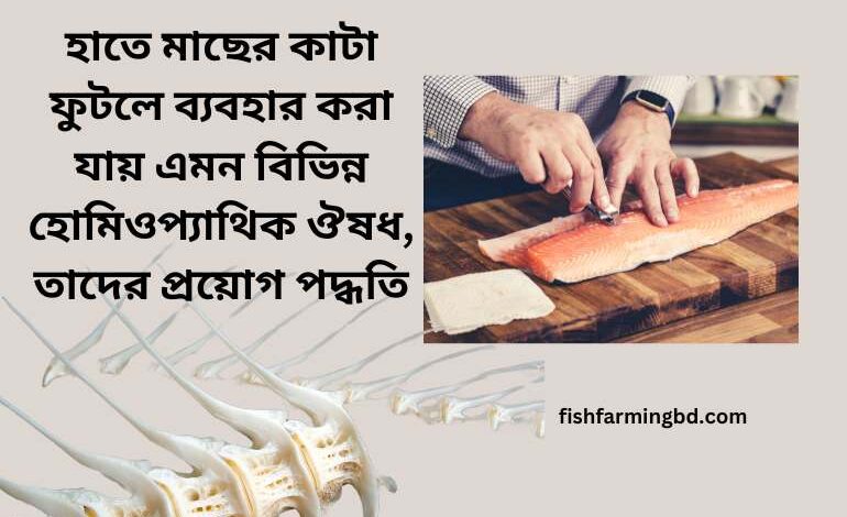 হাতে মাছের কাটা ফুটলে হোমিও ঔষধ